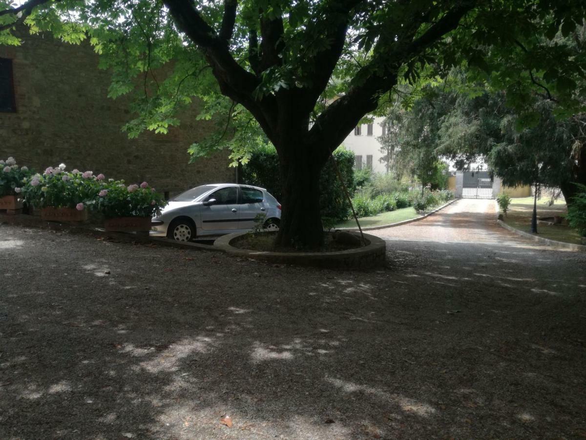 Il Tasso Pietraviva Exterior foto