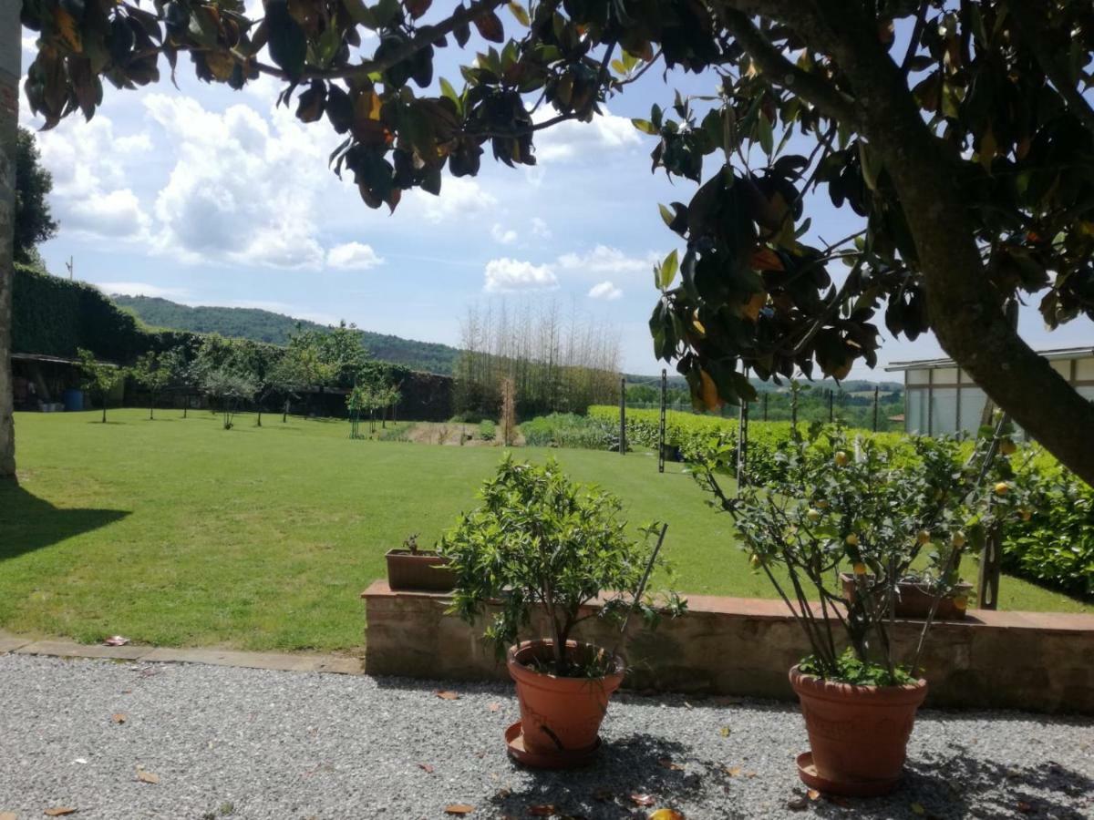 Il Tasso Pietraviva Exterior foto
